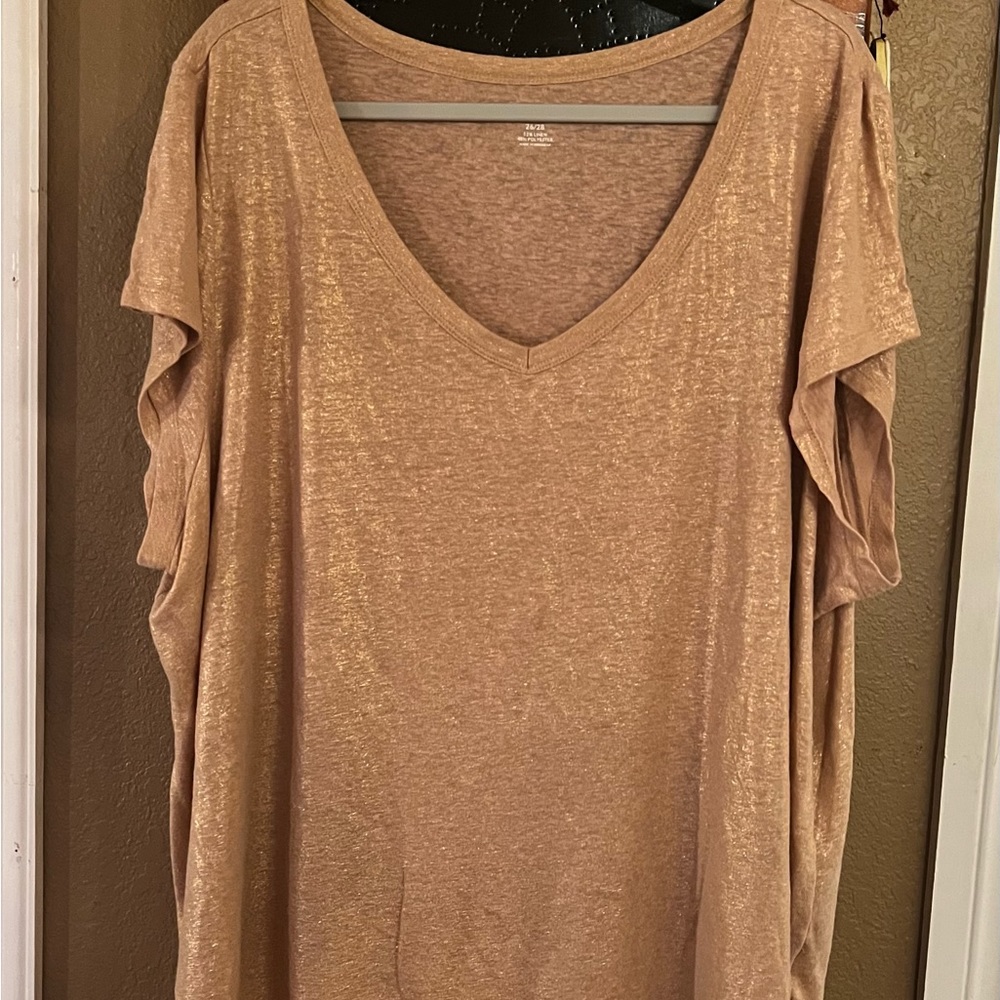 Gold Shimmer, Lane Bryant Blouse.